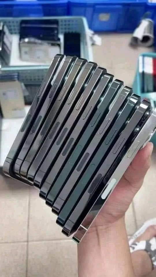 469085679 122145283316329686 6004833245819232024 n